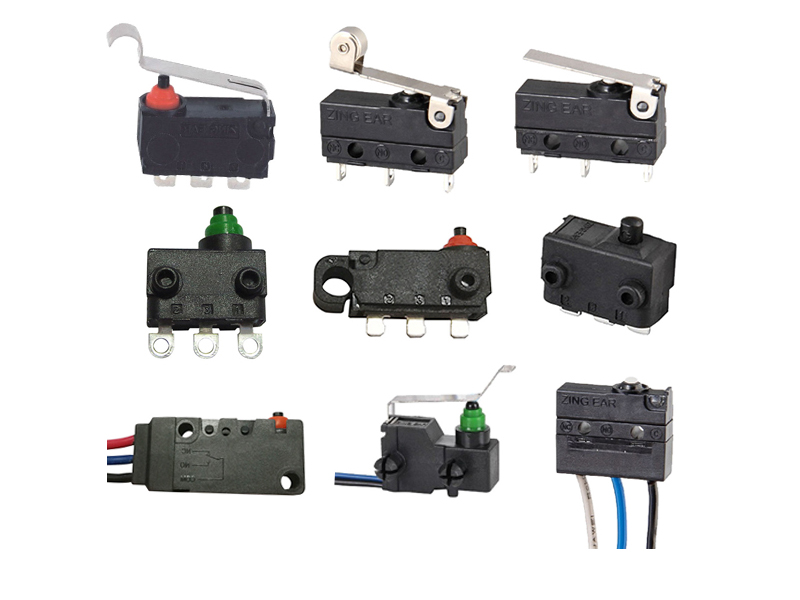 Waterproof type micro switch 1